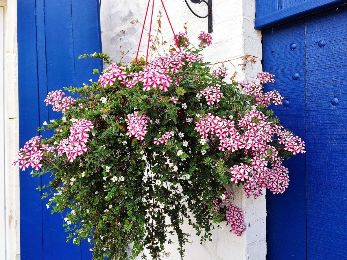 Bed and Breakfast 16 Bel Air Saint-Bonnet-de-Bellac Esterno foto